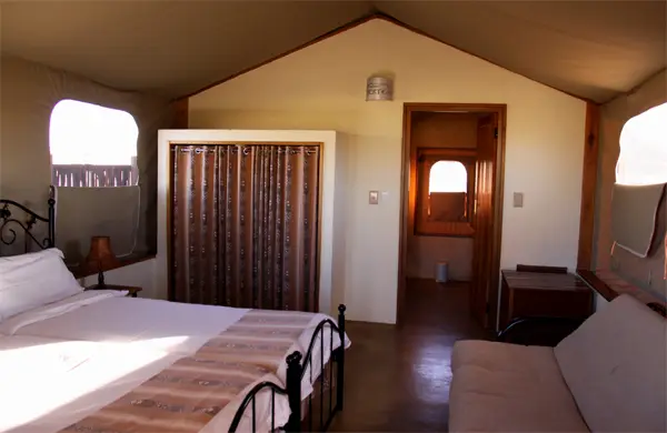 DesertCamp5.jpg