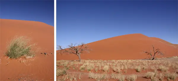 Dune45mittag.jpg