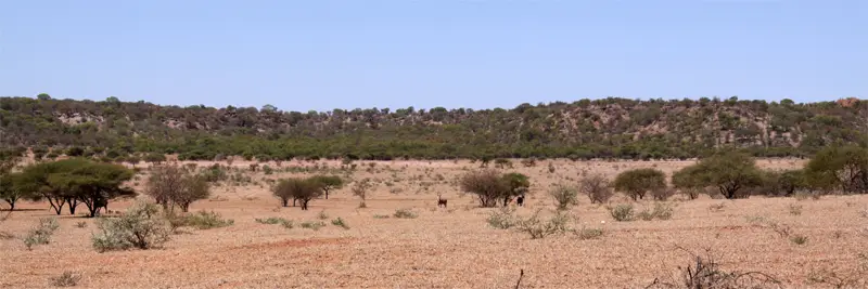 Eland71.jpg