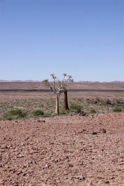 FRLandschaft.jpg