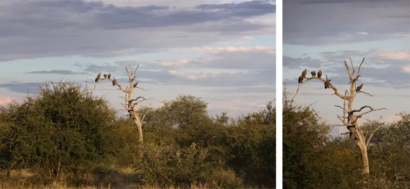 GD123.jpg