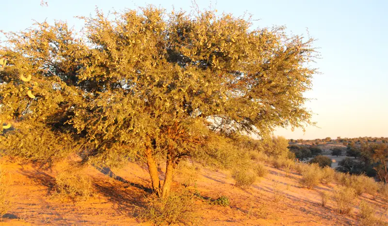 KTC0303.jpg