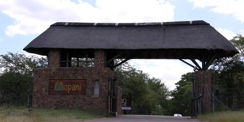 Mopani101.jpg