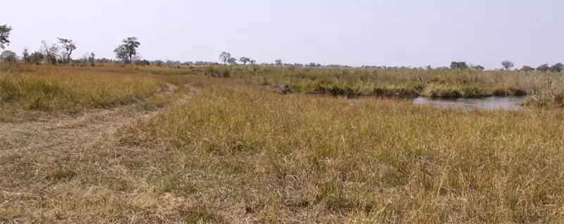 Mudumu0704.jpg