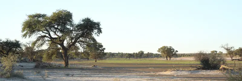 NT0202.jpg