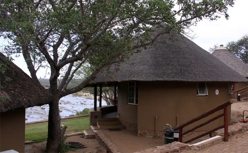 Olifants122.jpg