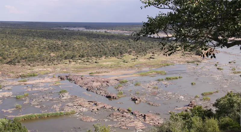 Olifants124.jpg