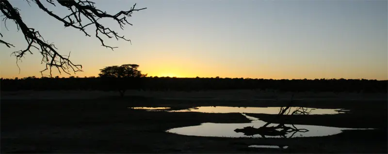 SA0201.jpg