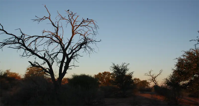 Sundowner0402.jpg
