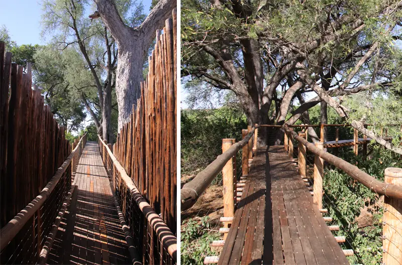 Treetop61.jpg