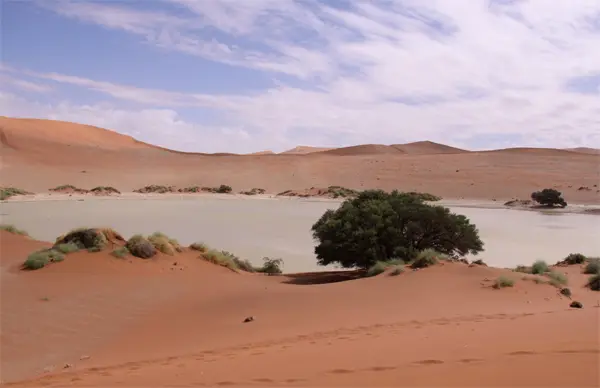 Vlei1.jpg
