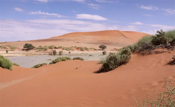 Vlei2.jpg