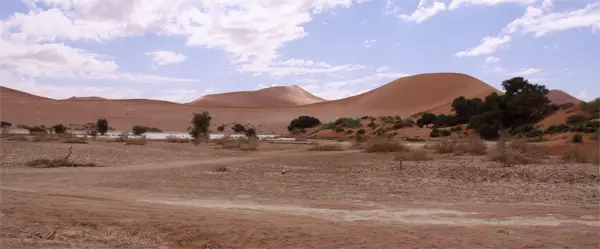 Vlei3.jpg