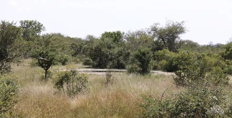WasserlochOrpen.jpg