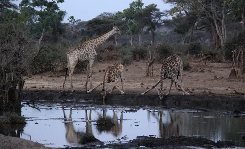 h180bada.jpg