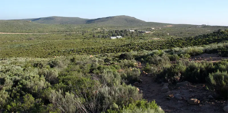h2495684.jpg