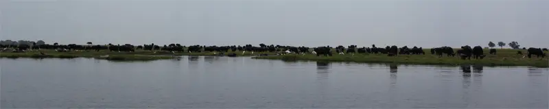 h35aa233.jpg