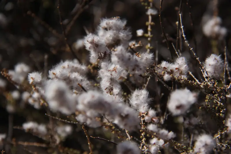 h462630f.jpg