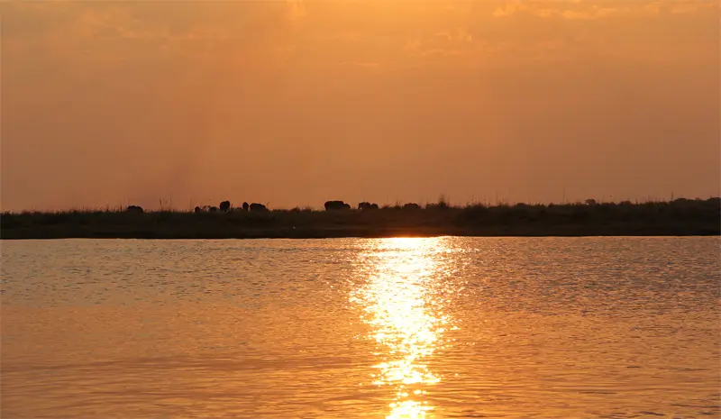 h951605d.jpg