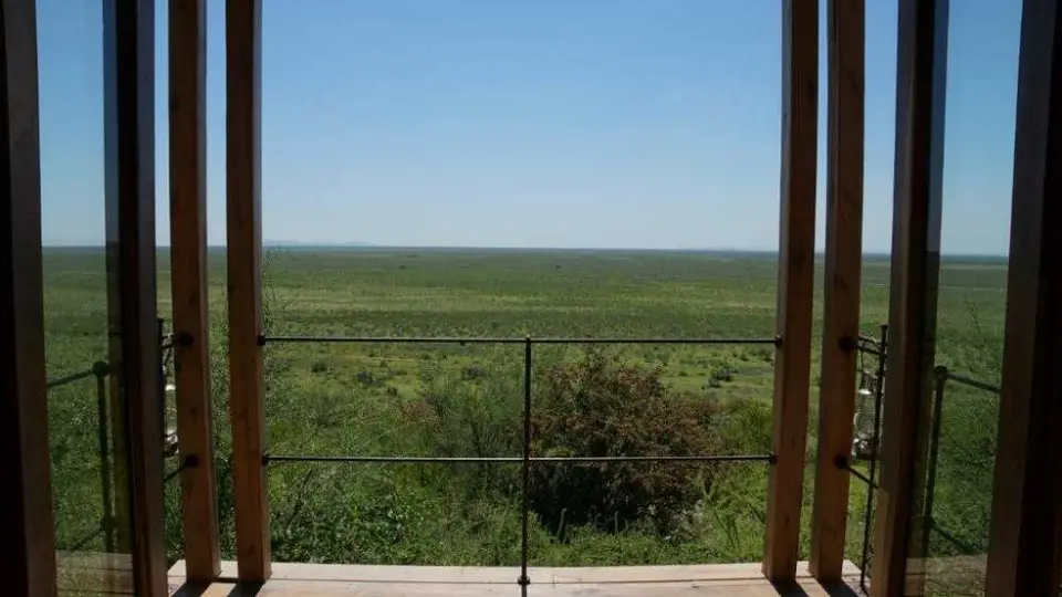 123.jpg