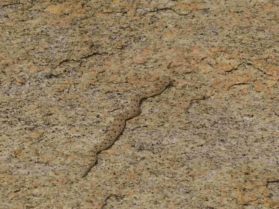 h4aa642d.jpg