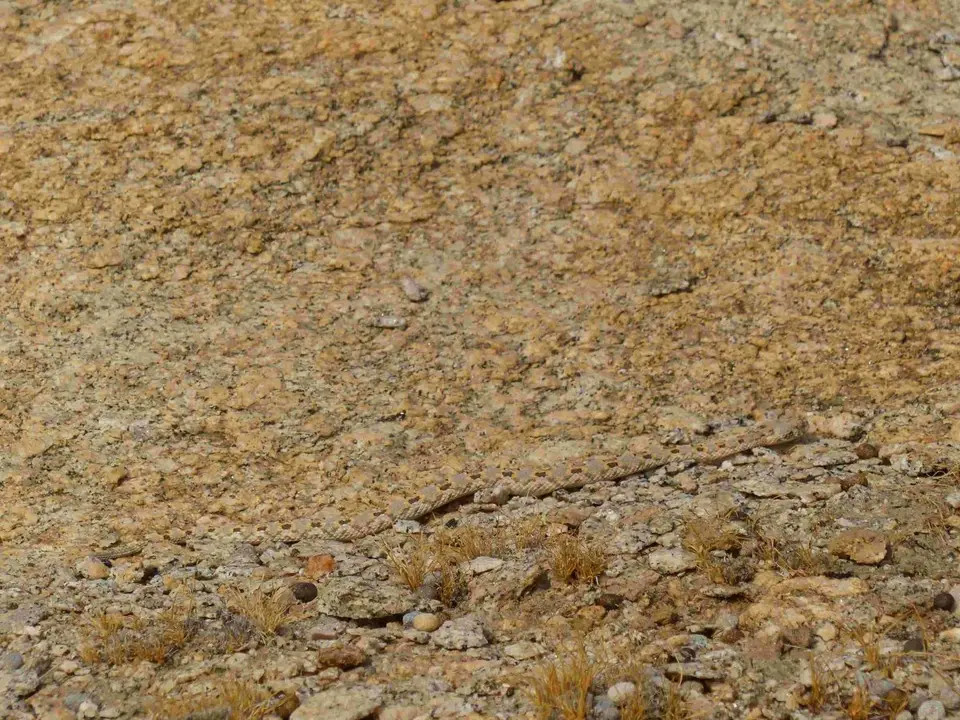 h99e8740.jpg