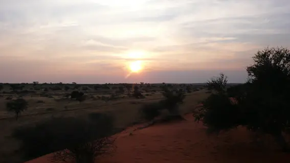 4_Sundowner2.JPG