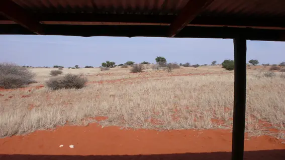 4_Terasse_Kalahari.JPG