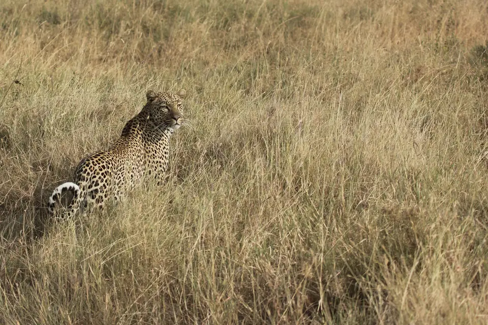 h77c8362.jpg