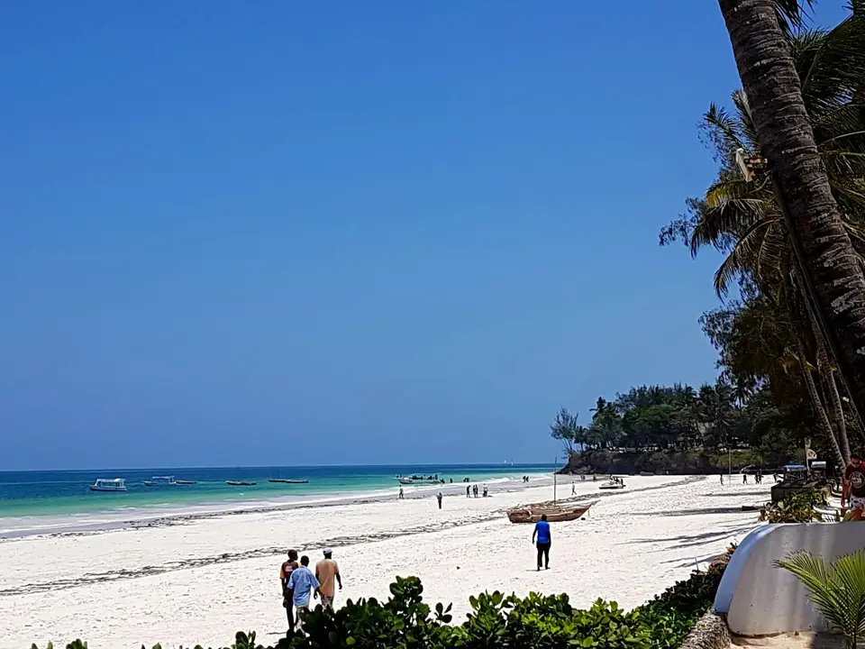 20190318_132914.jpg