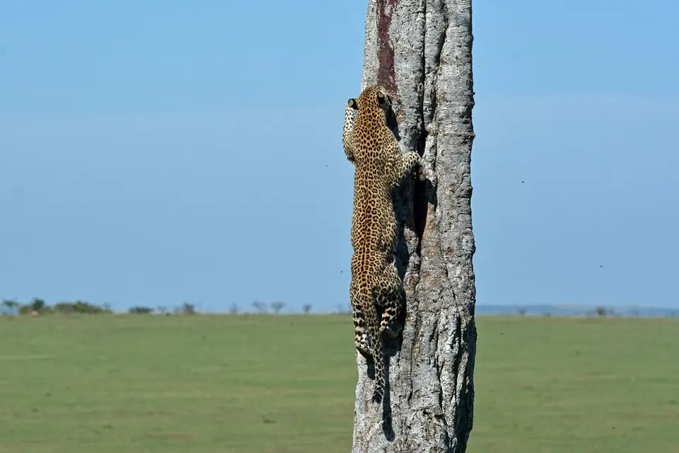 comp_DSC_0372.jpg