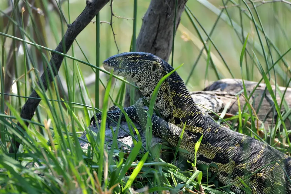 comp_DSC_3063.jpg