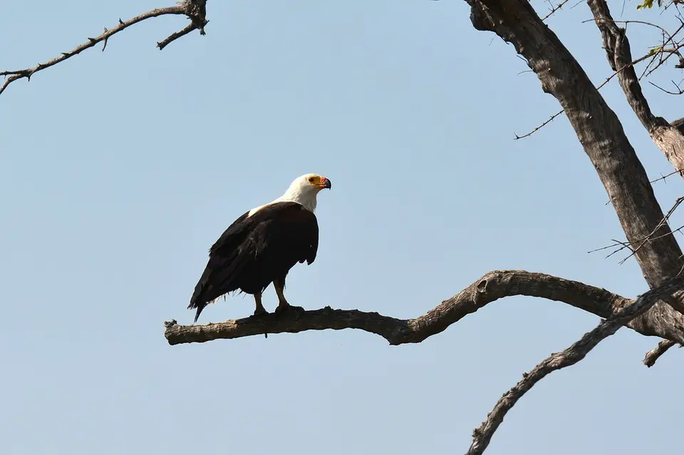 comp_DSC_3205.jpg