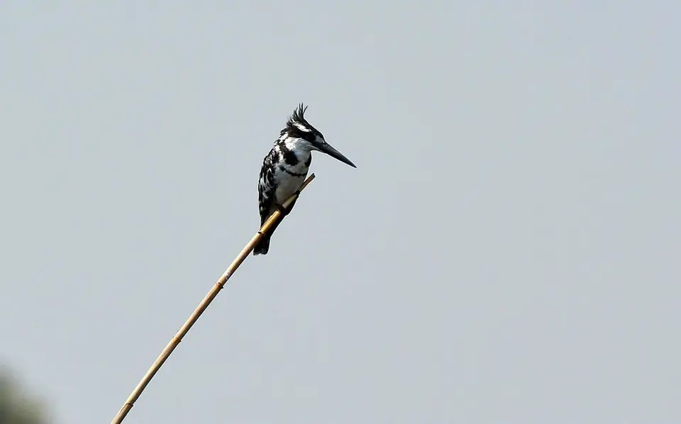 comp_DSC_3286.jpg