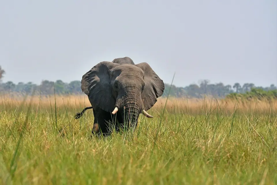 comp_DSC_3305.jpg