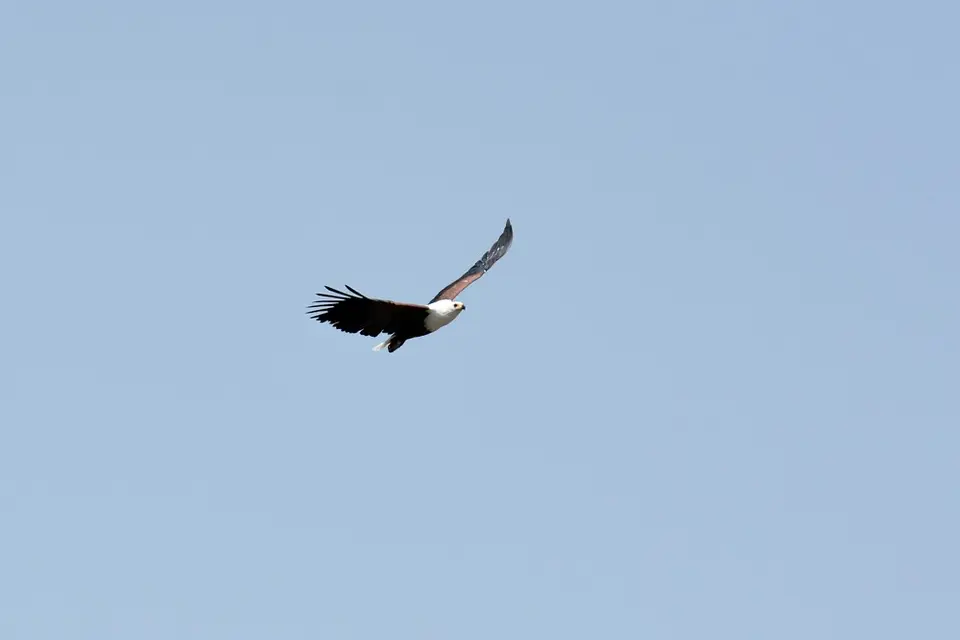 comp_DSC_3358.jpg