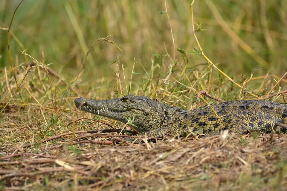 comp_DSC_3434.jpg