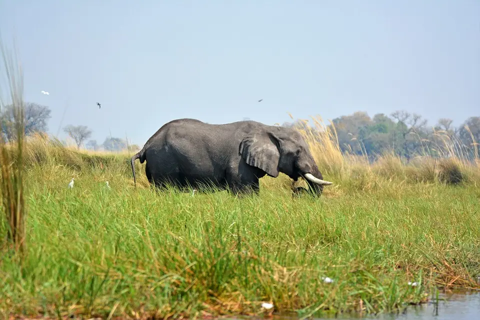 comp_DSC_3447.jpg