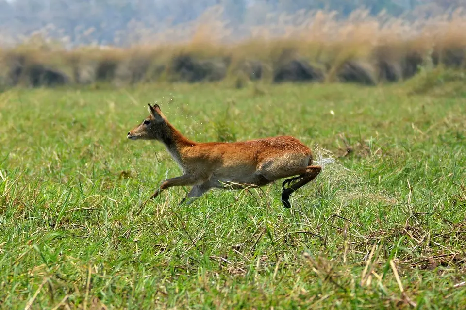 comp_DSC_3610.jpg