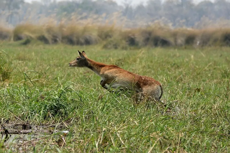 comp_DSC_3611.jpg
