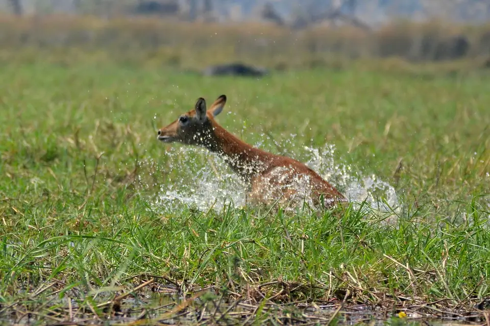 comp_DSC_3614.jpg