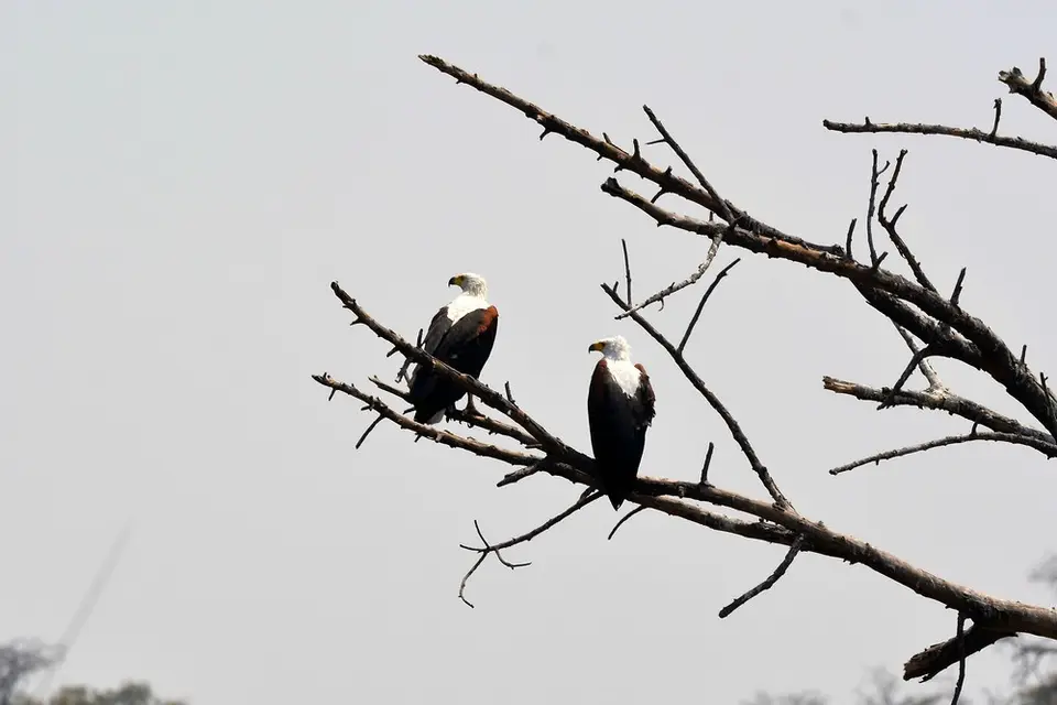 comp_DSC_3719.jpg