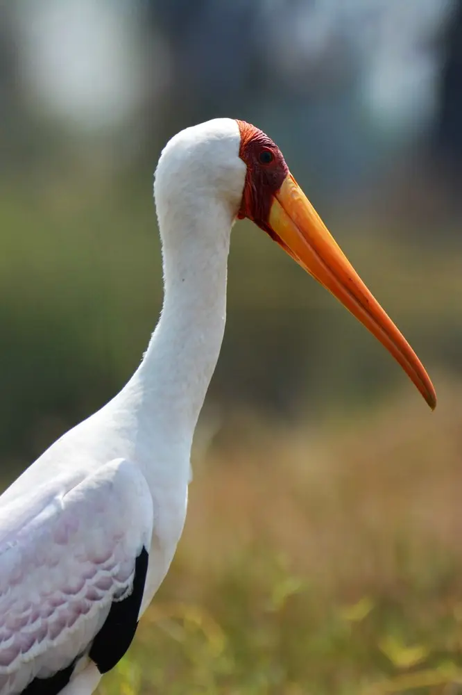 comp_DSC_3764.jpg
