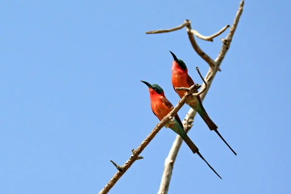 comp_DSC_4153.jpg
