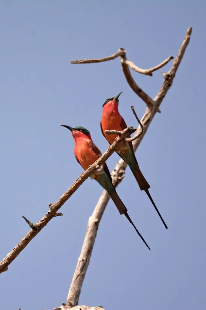 comp_DSC_4156.jpg