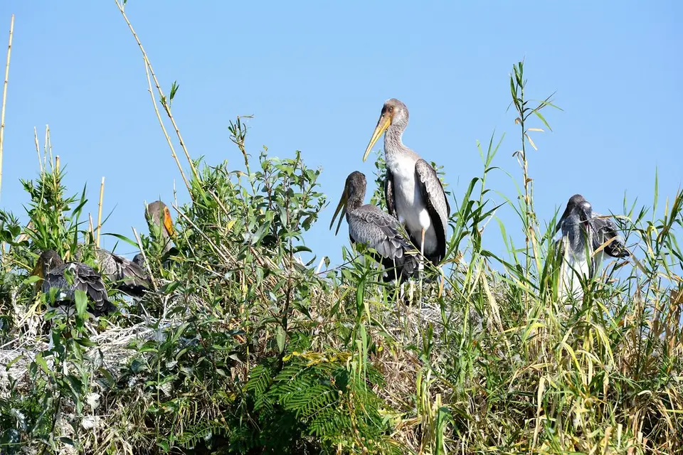 comp_DSC_4301.jpg
