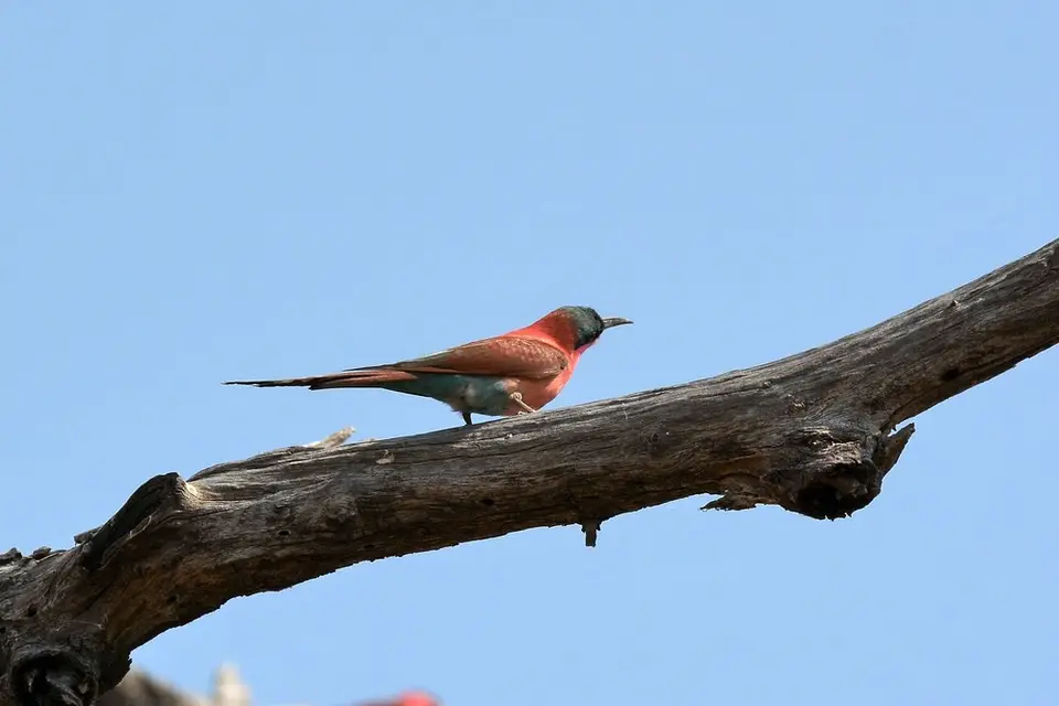 comp_DSC_4529.jpg