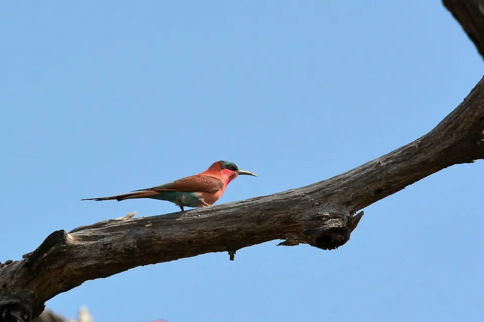 comp_DSC_4530.jpg