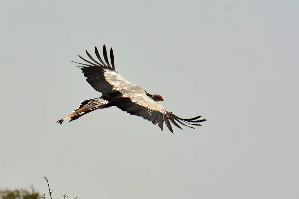 comp_DSC_4546.jpg
