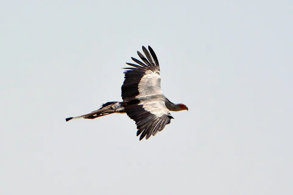 comp_DSC_4550.jpg